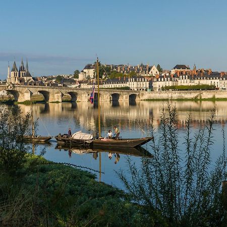 Le Wilson - Vue Imprenable Sur La Loire Et Le Chateau De Blois Exteriör bild