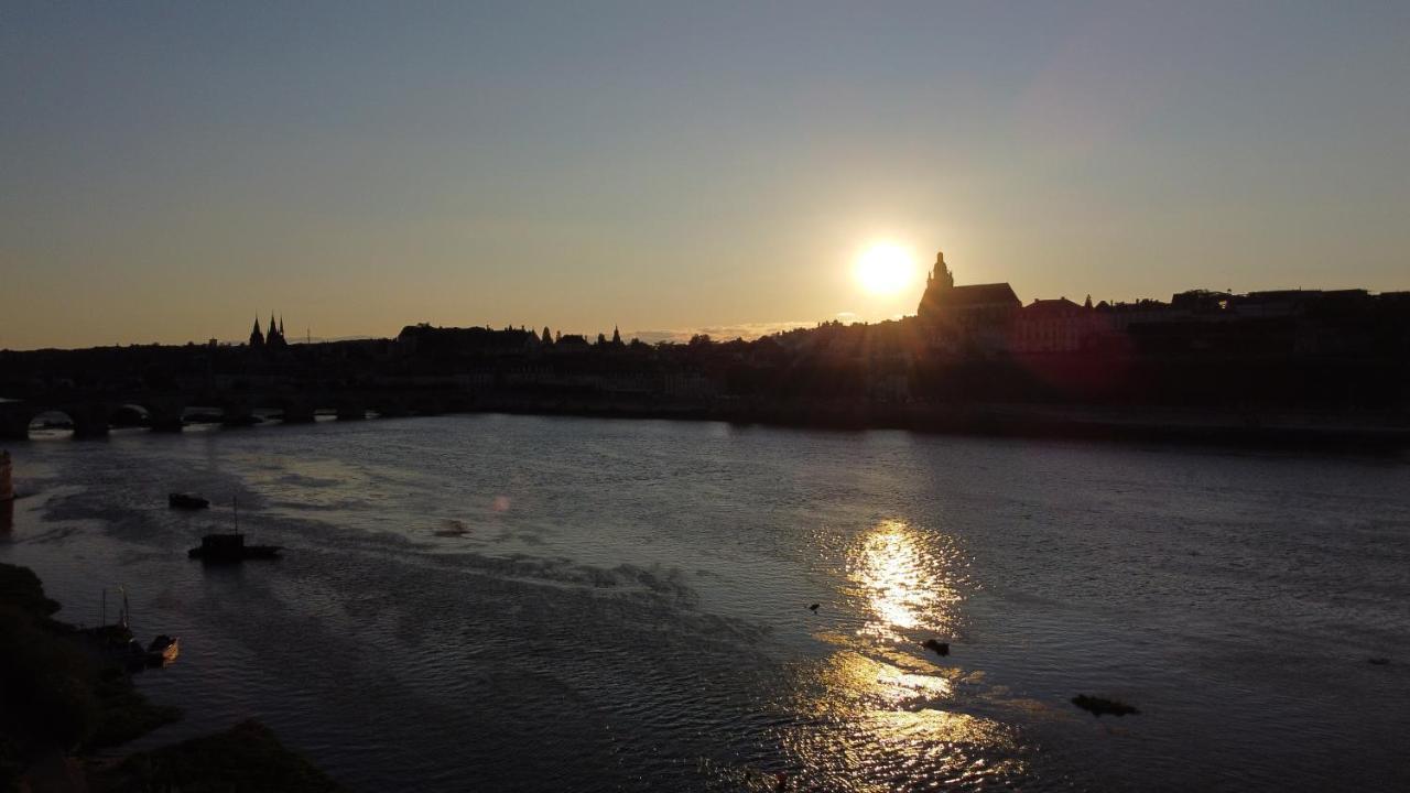 Le Wilson - Vue Imprenable Sur La Loire Et Le Chateau De Blois Exteriör bild
