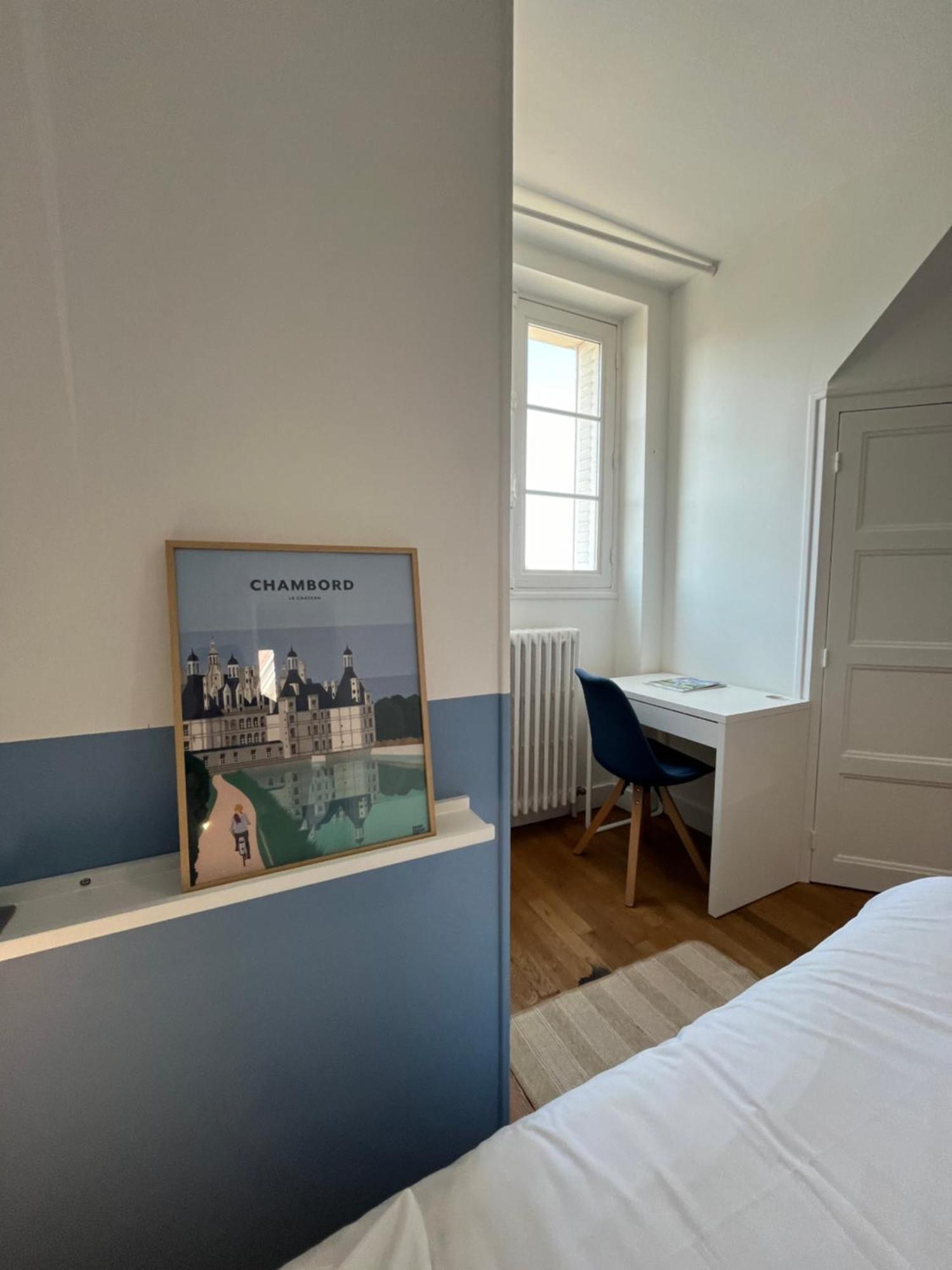 Le Wilson - Vue Imprenable Sur La Loire Et Le Chateau De Blois Exteriör bild